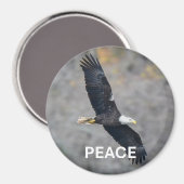 Magnet with Bald Eagle picture and the word Peace (Recto/Verso)