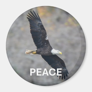 Magnet with Bald Eagle picture and the word Peace Magneet
