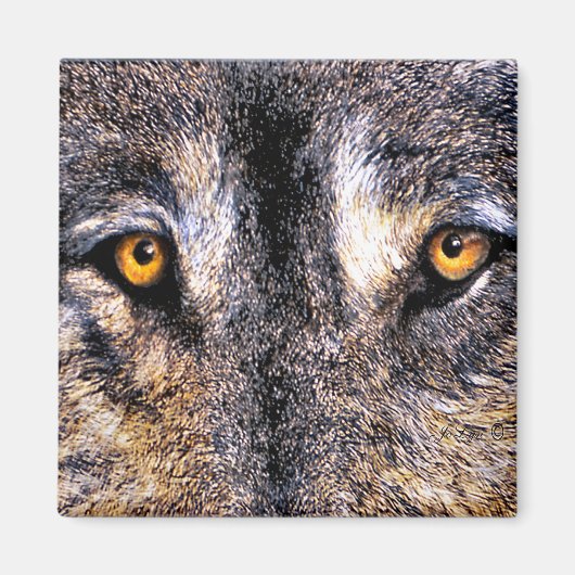 Magnet Wolf Eyes (Devant)
