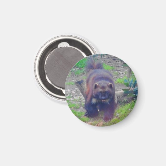 Magnet Wolverine #1 (Recto/Verso)