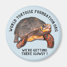 Magnet World Tortoise Foundation