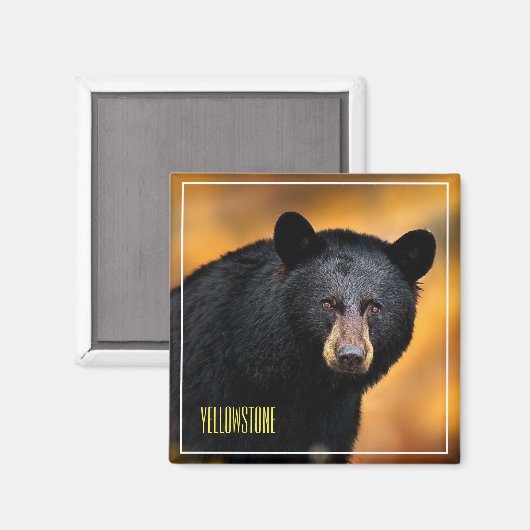 Magnet Yellowstone Black Beer Magneet (Voorkant / Achterkant)