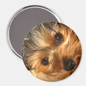 Magnet York Eyes (Recto/Verso)