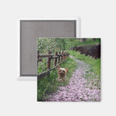 Magnet Yorkshire Terrier (Recto/Verso)