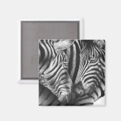 Magnet Zebra mignon (Recto/Verso)