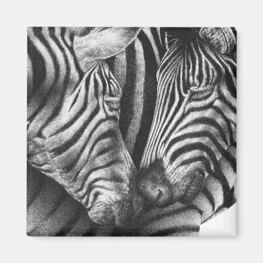 Magnet Zebra mignon (Devant)