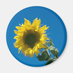 Magnet - Zonnebloem Magneet