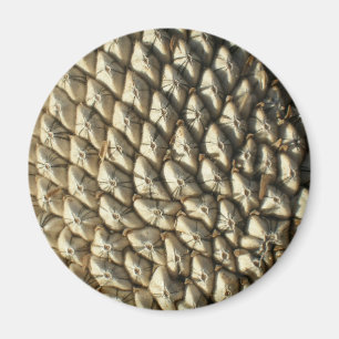 Magnet - Zonnebloemzaad Magneet