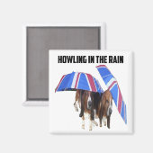 Magnetbeugel in de regen magneet (Voorkant / Achterkant)