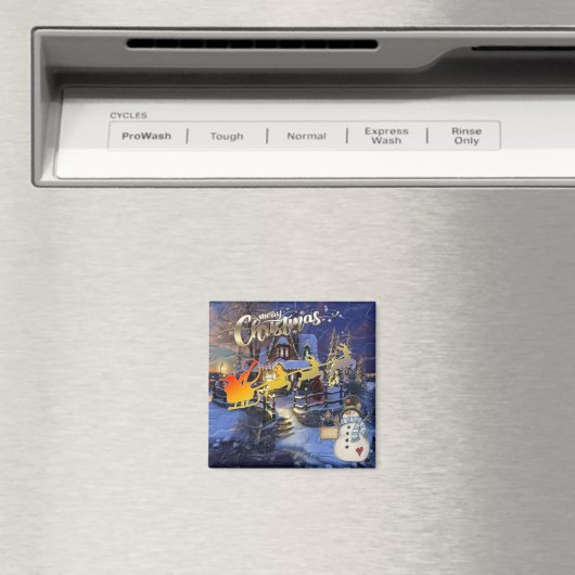 Magneten (Insitu (Vaatwasser))