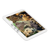 magneten kenya big vijf (Rechterzijde)