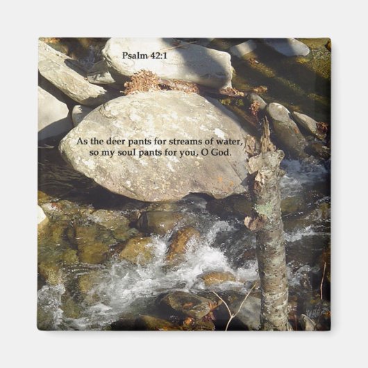 Magneten: Stroom Psalm Magneet (Voorkant)