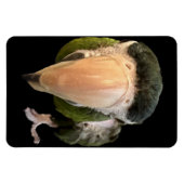 magneten van beakysnooter (Horizontaal)