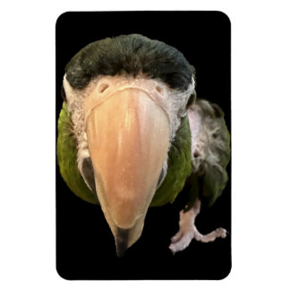 magneten van beakysnooter