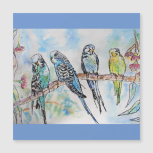 Magnétique Budgie Budgies Carte Oiseau de peinture aquarelle