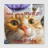Magnétique Carte d'anniversaire de chat amusant (Devant)