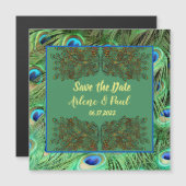 Magnétique Élégante carte de plume bleu vert Peacock (Devant / Derrière)