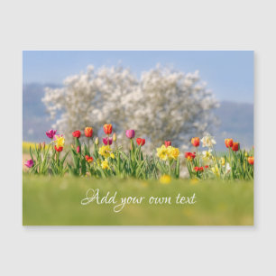 Magnétique Fleurs colorées Tulipes + Daffodiles Carte magnéti