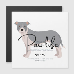 Magnétique Invitation à une journée de jeu de pitbull