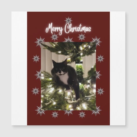 Magnétique Joyeuse carte de Noël avec Tuxedo cat sur mon arbr (Devant)