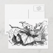 Magnetisch drakenvliegtuig briefkaart (Voorkant / Achterkant)