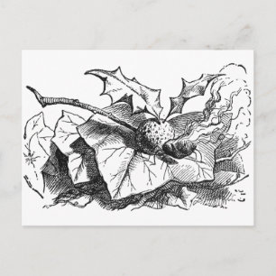 Magnetisch drakenvliegtuig briefkaart