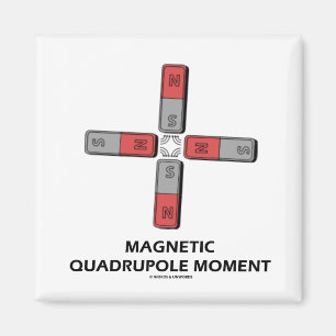 Magnetisch Quadrupole Moment (Magnetisme) Magneet