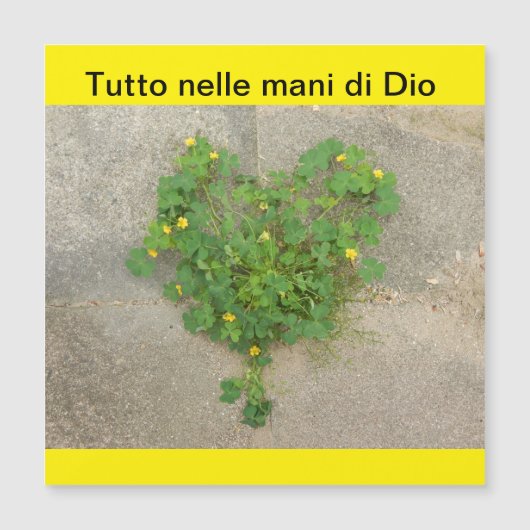 Magnetische kaart (Voorkant)