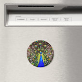 Magnetische pauw magneet (Insitu (Vaatwasser))