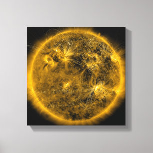Magnetische veldlijnen op de zon canvas afdruk