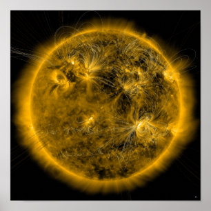 Magnetische veldlijnen op de zon poster