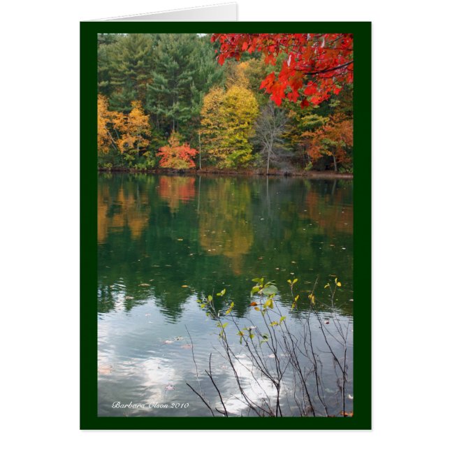 Magnétisme subtil dans la nature : Walden Pond (Devant)