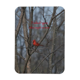 Magnetkardinalen verschijnen wanneer engelen in de magneet