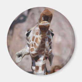 Magnetnummer 1 magneet