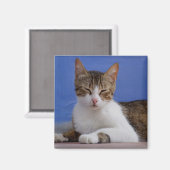 Magnets (Recto/Verso)