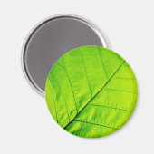 Magnets à feuilles vertes (Recto/Verso)