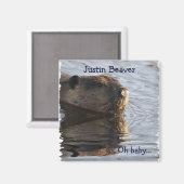 Magnets castors (Recto/Verso)