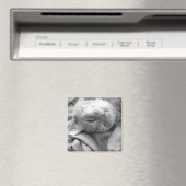Magnets Cat Nap (In Situ (Lave-vaisselle))