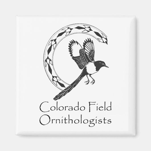 MAGNETS CFO (Devant)