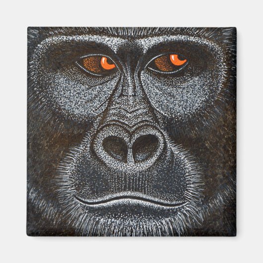 Magnets d'animaux d'Afrique Whimisical (Devant)