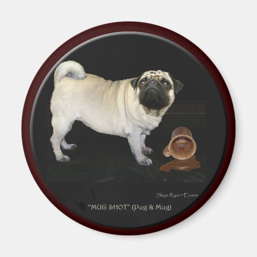 magnets d'art "MUG SHOT" (Devant)