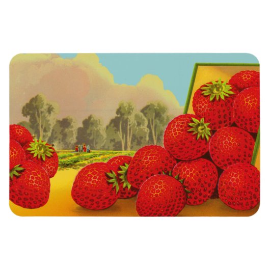 Magnets d'art vintage de fraises (Horizontal)
