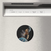 Magnets de Bald Eagle (In Situ (Lave-vaisselle))