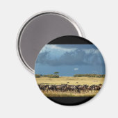 Magnets de Blue Wildebeest (GNU) Masai Mara Kenya (Recto/Verso)
