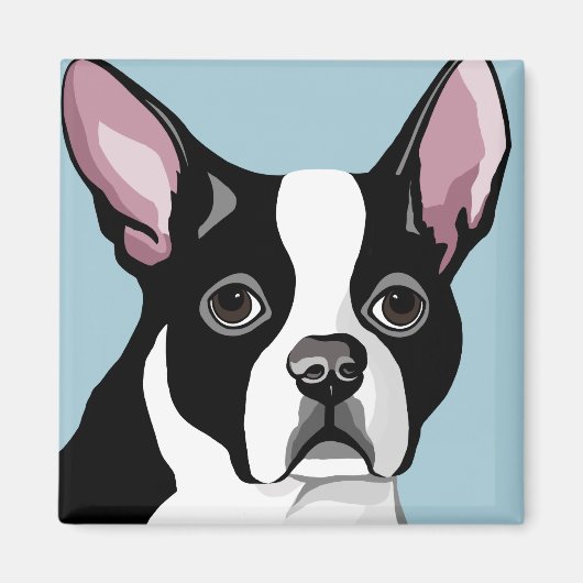 Magnets de Boston Terrier (Devant)