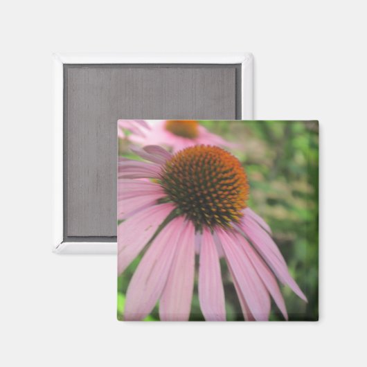 Magnets de consoeurs roses (Recto/Verso)