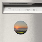 Magnets de Floride (In Situ (Lave-vaisselle))