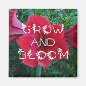 magnets de "Grow and Bloom" (Devant)