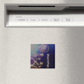 Magnets de la bande D'n'P (In Situ (Lave-vaisselle))