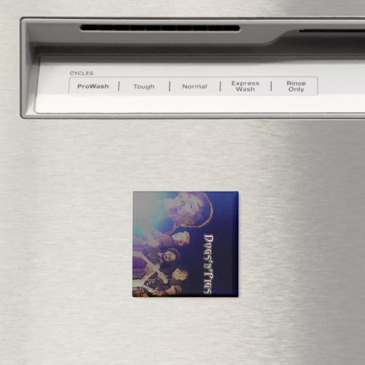 Magnets de la bande D'n'P (In Situ (Lave-vaisselle))